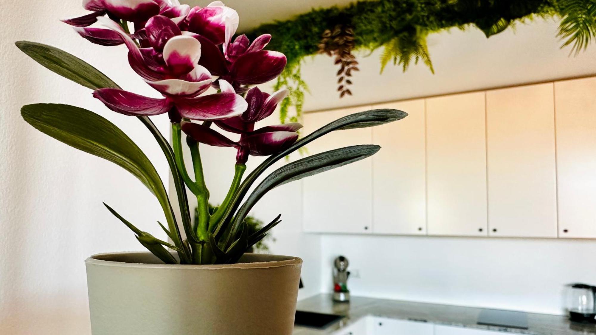 Garden Of Eden Modern Apartments - Apartello,Com Sveti Vlas Εξωτερικό φωτογραφία